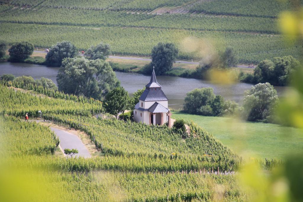 Hotel Wein & Gastehaus Hermeshof Trittenheim Exteriér fotografie