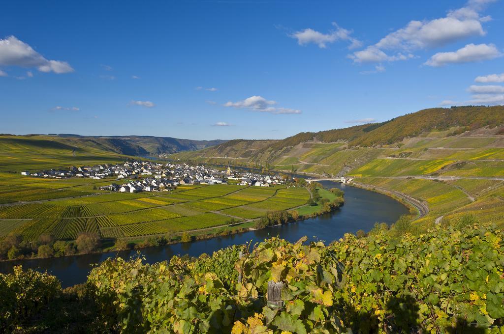 Hotel Wein & Gastehaus Hermeshof Trittenheim Exteriér fotografie